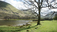 Brotherswater